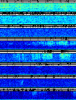 Spectrogram for Newberry at 2025/10/12 00:40 GMT+0