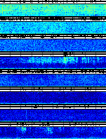 Spectrogram for Newberry at 2025/10/12 01:50 GMT+0