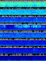 Spectrogram for Newberry at 2025/10/12 14:50 GMT+0
