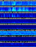 Spectrogram for Mount Rainier at 2025/10/12 02:50 GMT+0