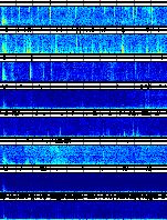 Spectrogram for Mount Rainier at 2025/10/12 11:00 GMT+0