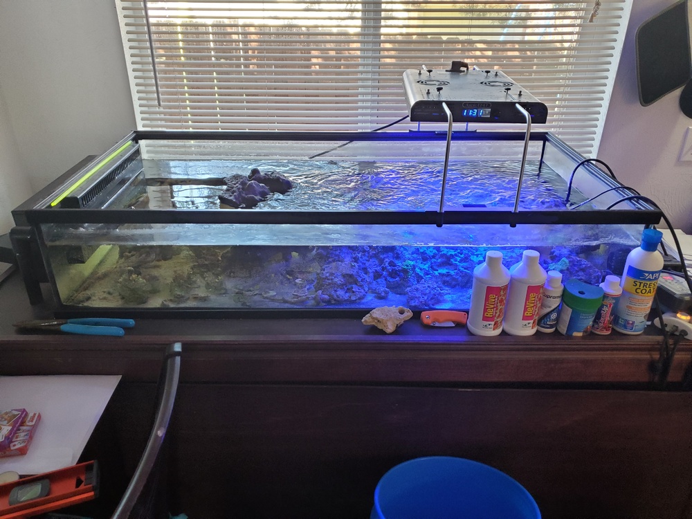 Lowboy Frag tank custom stand big sump Classified Threads PNWMAS