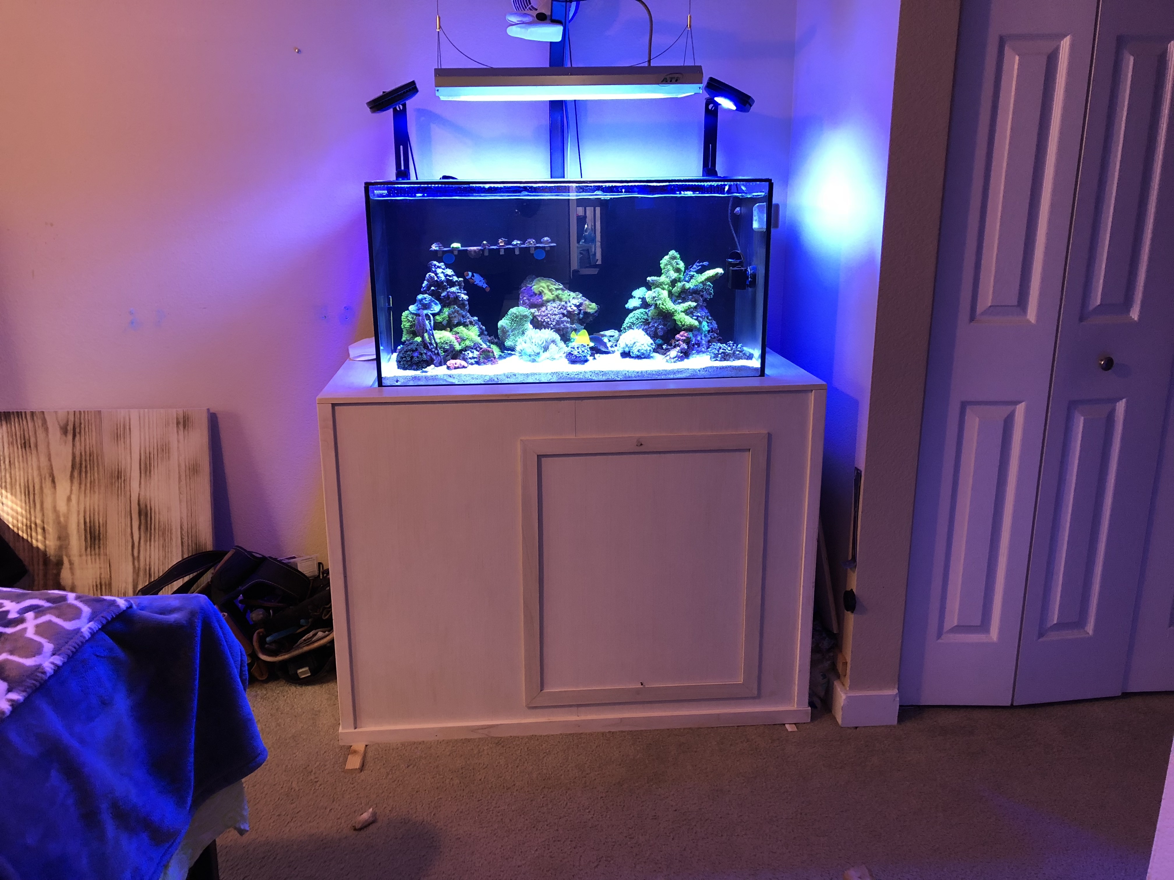 aquarium hardscape for sale