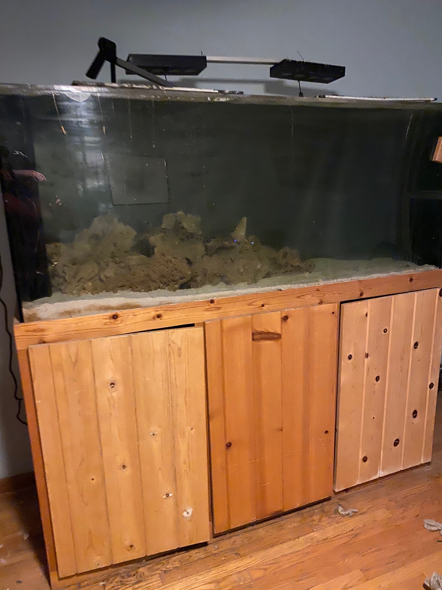 fs acrylic 250 gallon aquarium Classified Threads PNWMAS