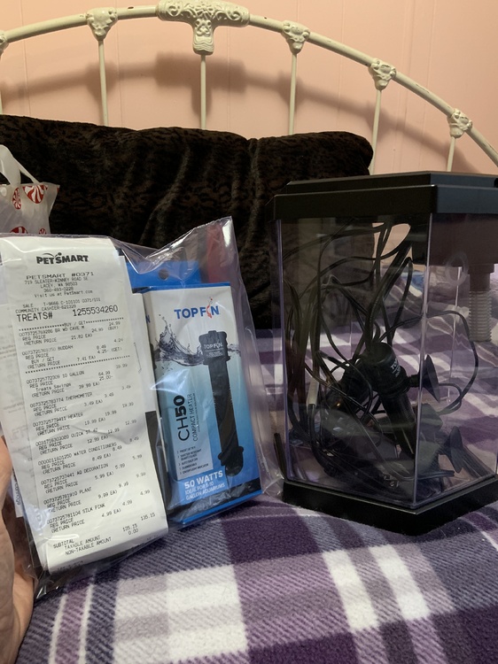 10 and 2.5 gallon tanks for sale with embellishments Classified