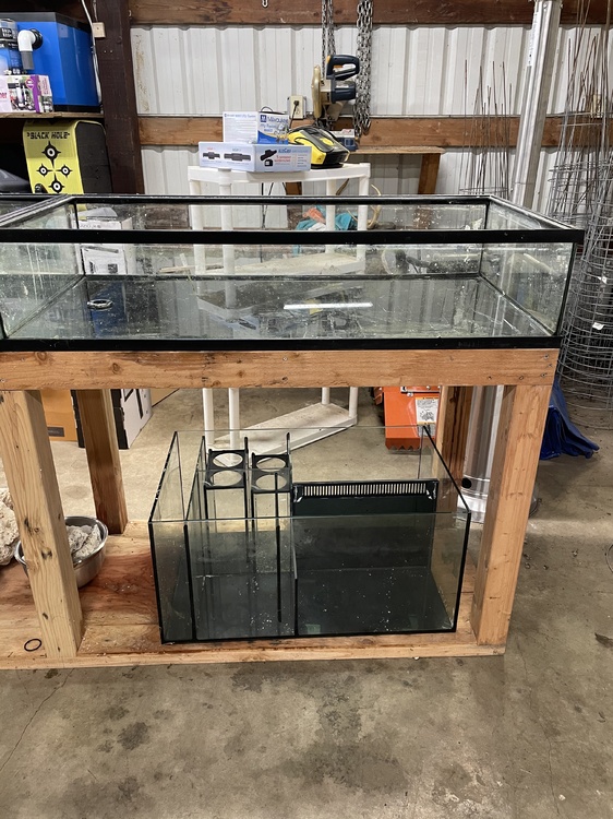 50 gallon lowboy Frag tank for sale Classified Threads PNWMAS