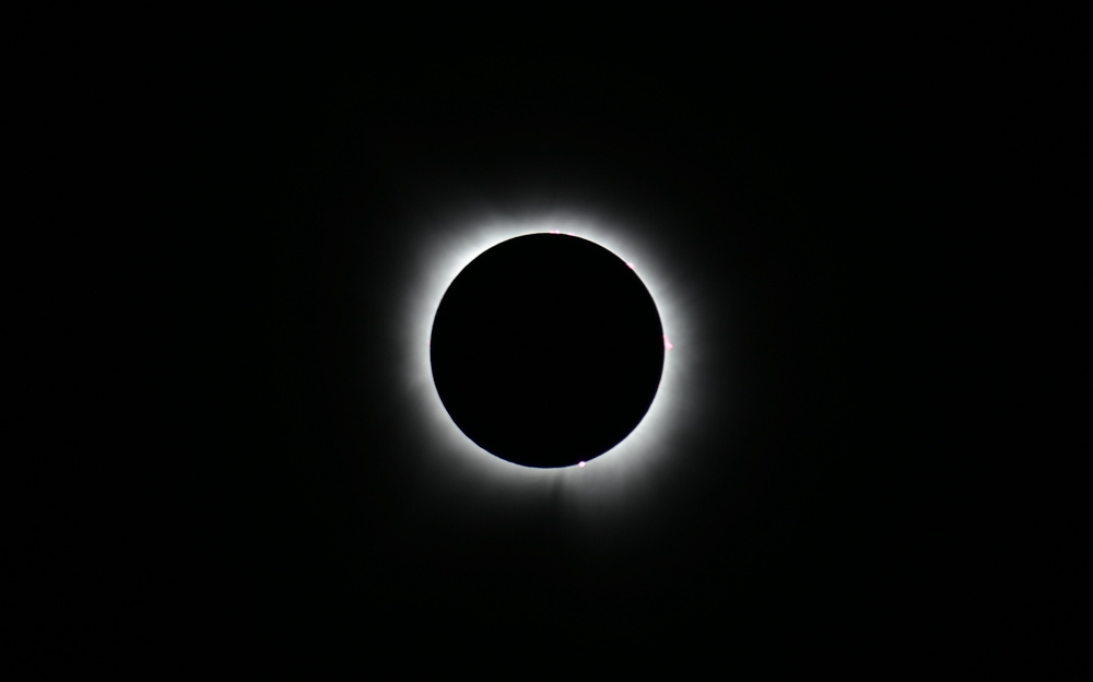 DSC_3925.JPG