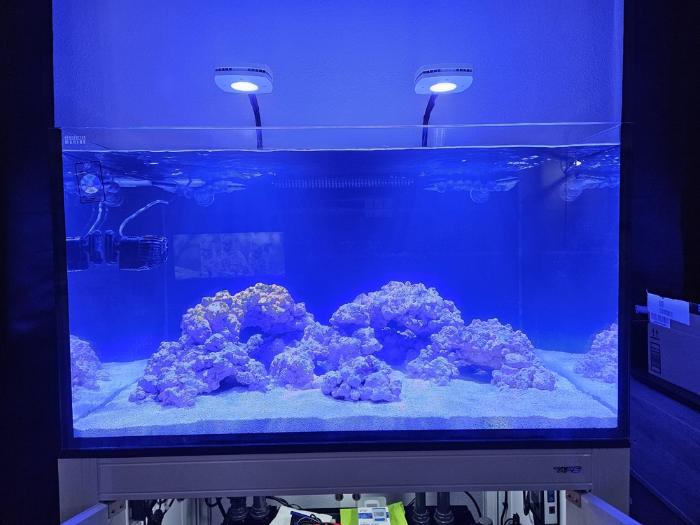 Tank with lights on.jpg