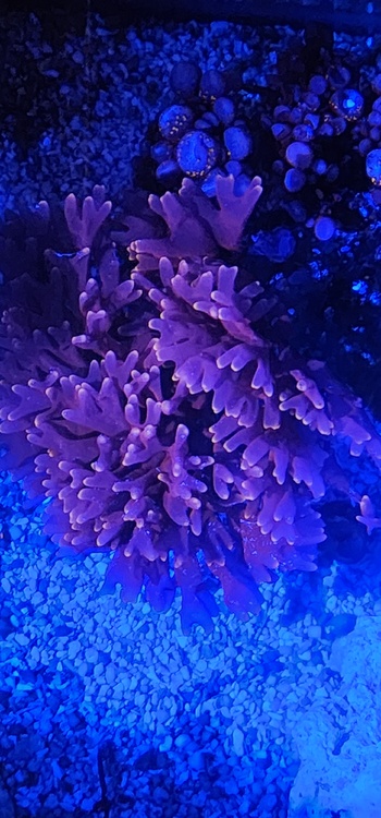 20241110_185530.jpg