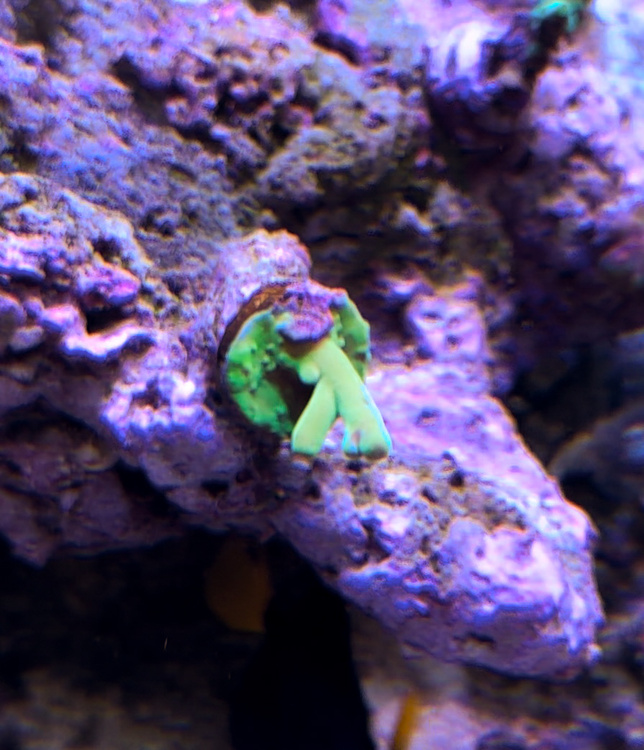 IMG_0065.jpeg