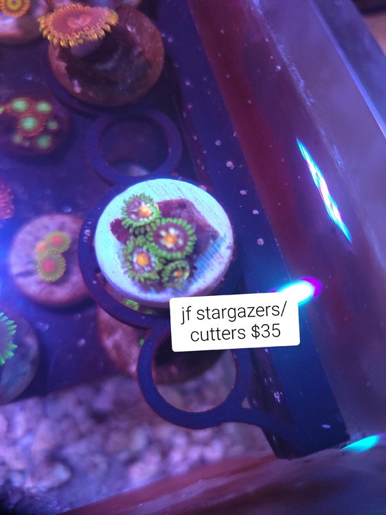 20250622_173553.jpg