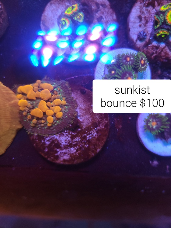 20250622_173706.jpg