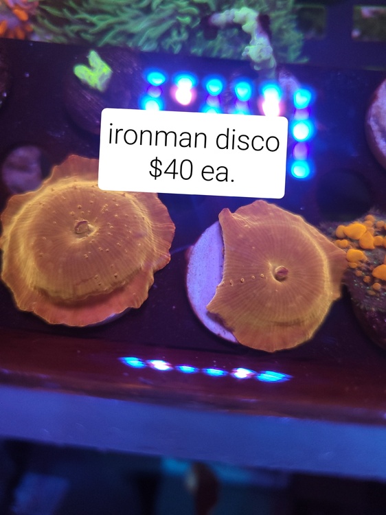 20250622_173722.jpg