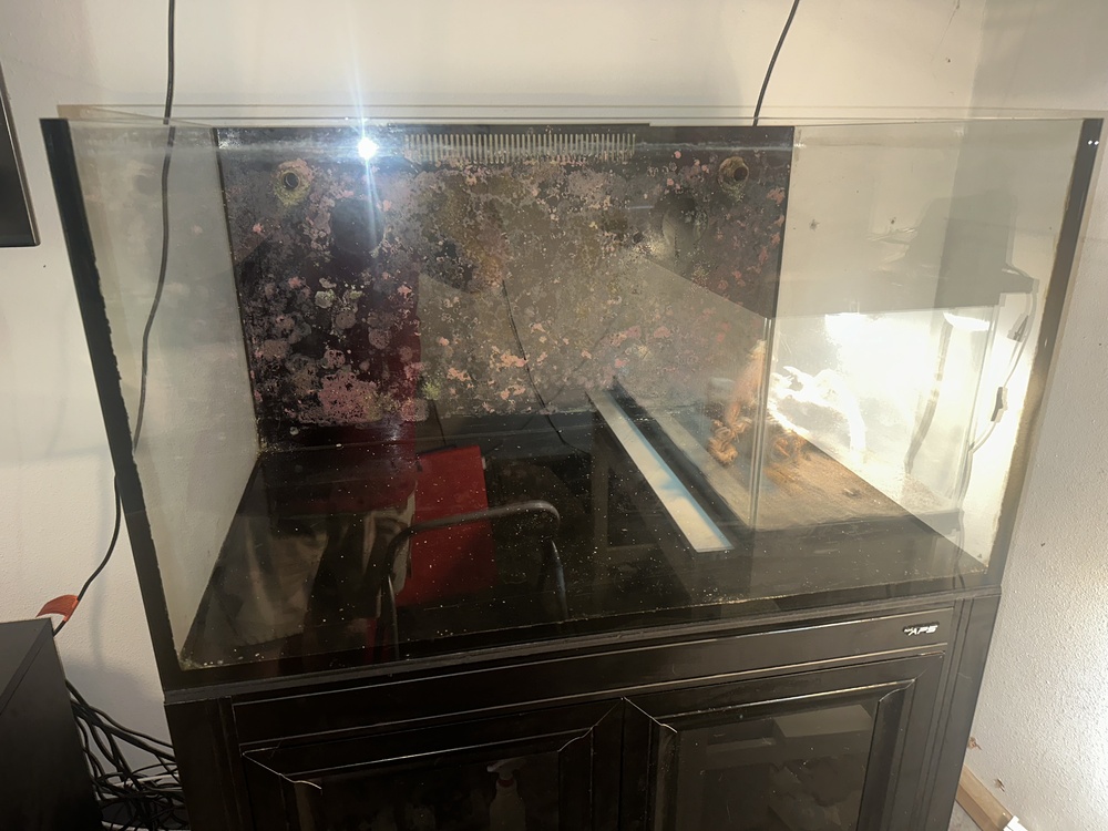 IMG_2376.jpeg