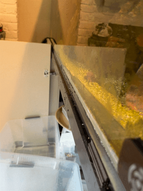 image.gif