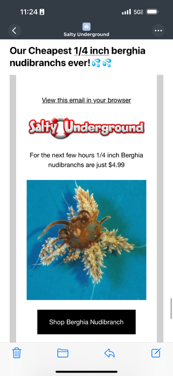 IMG_2025.thumb.png.f958b8cee9800088477c7fddfc188a20.png