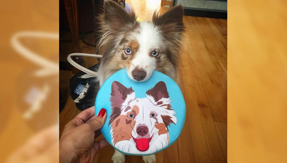 custom dog toys custom dog toys