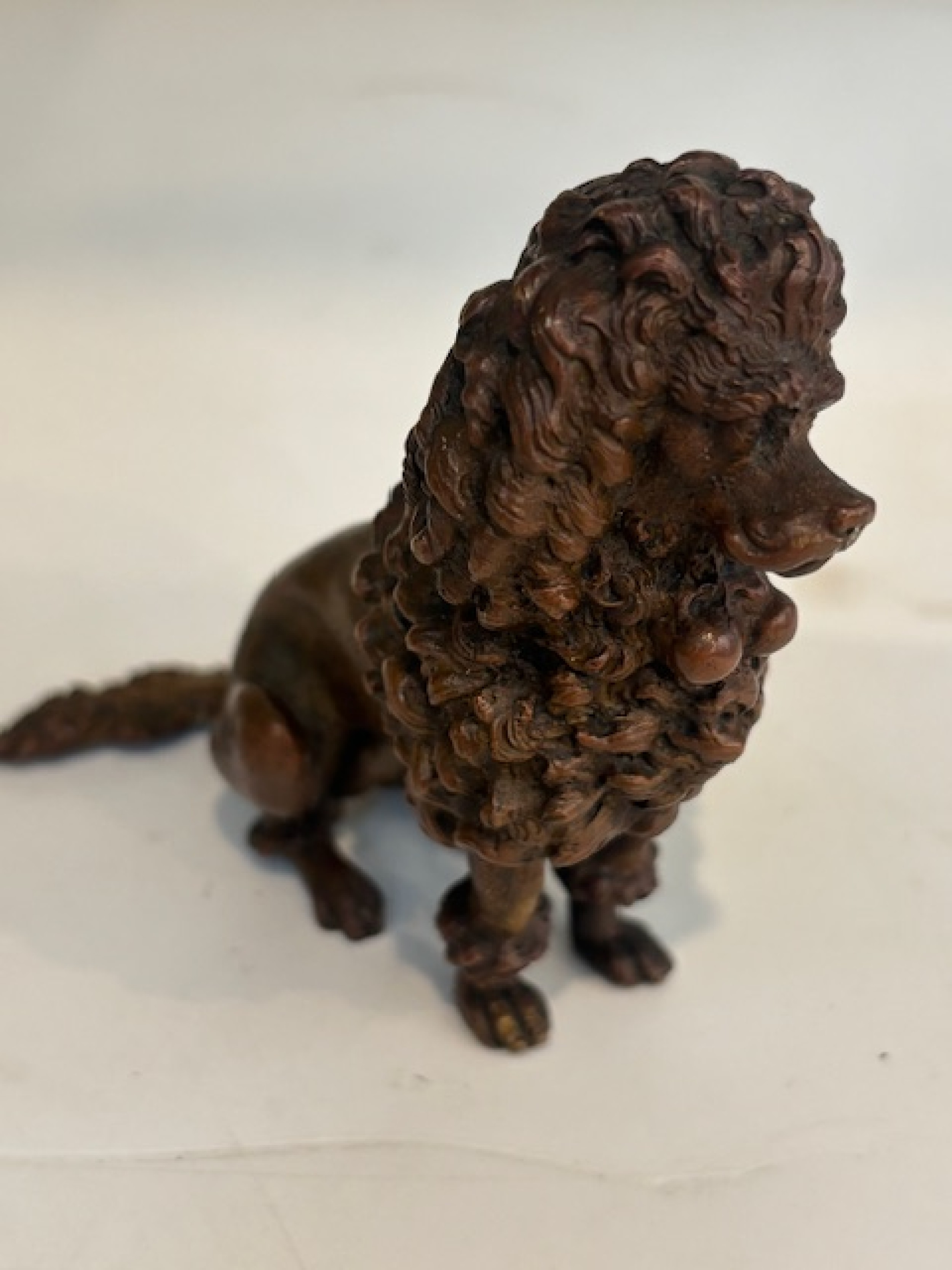 Frnech victorian small bronze french poodle