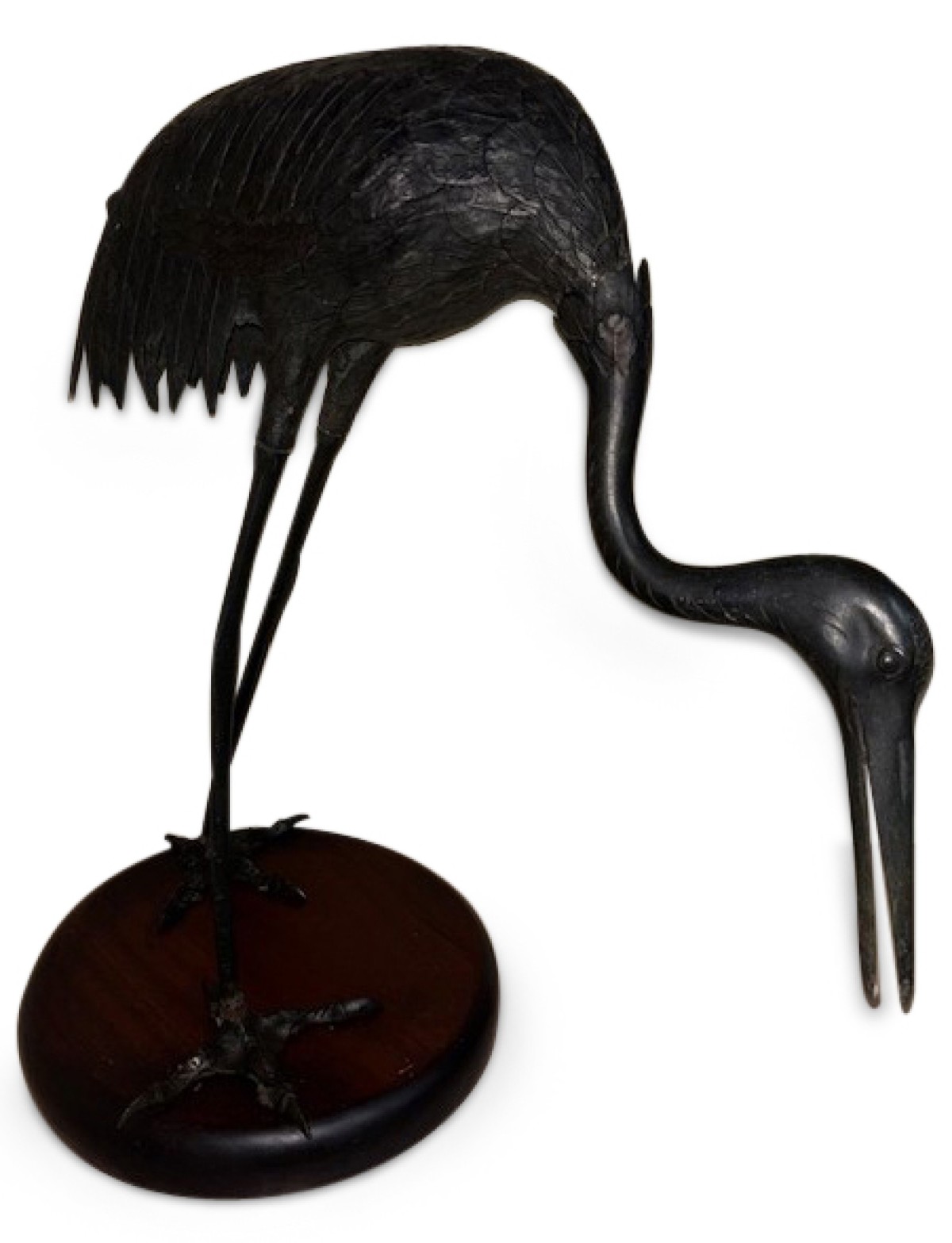 Asian japanese bronze heron