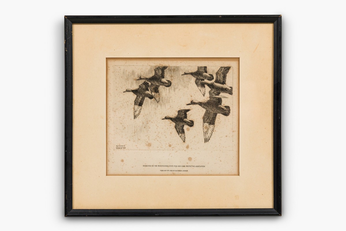 Richard biship geese in flight