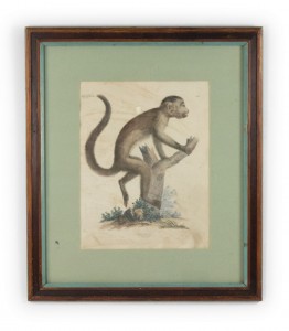 French victorian monkey engraving print 4