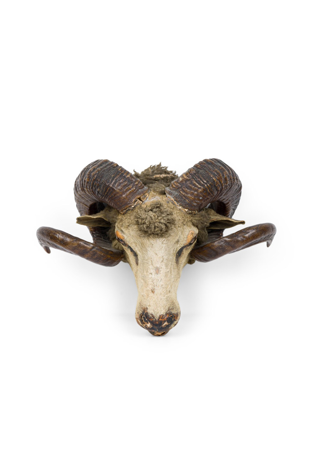 Rustic ram s head taxidermy 1