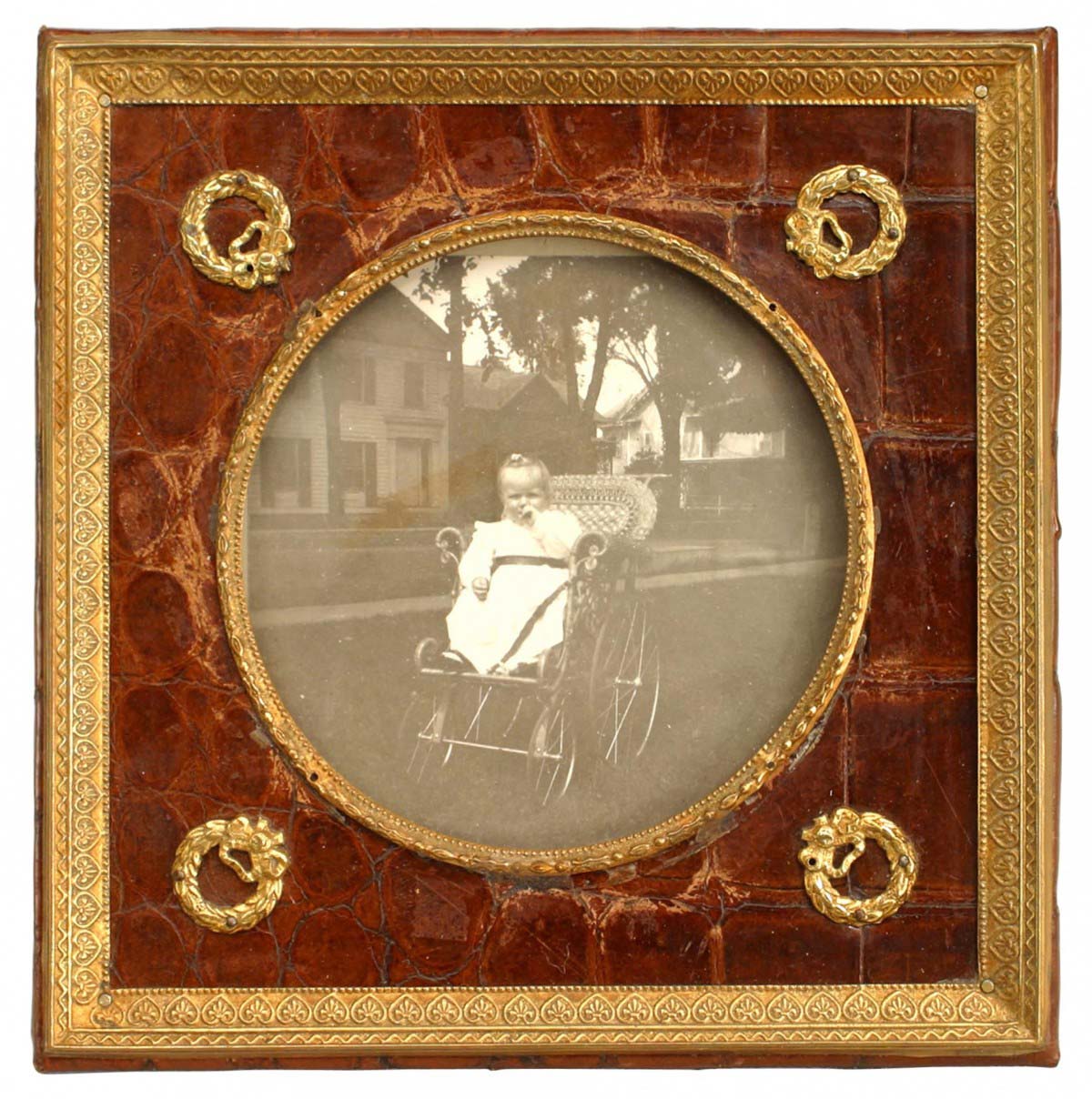 English brown crocodile picture frame 7