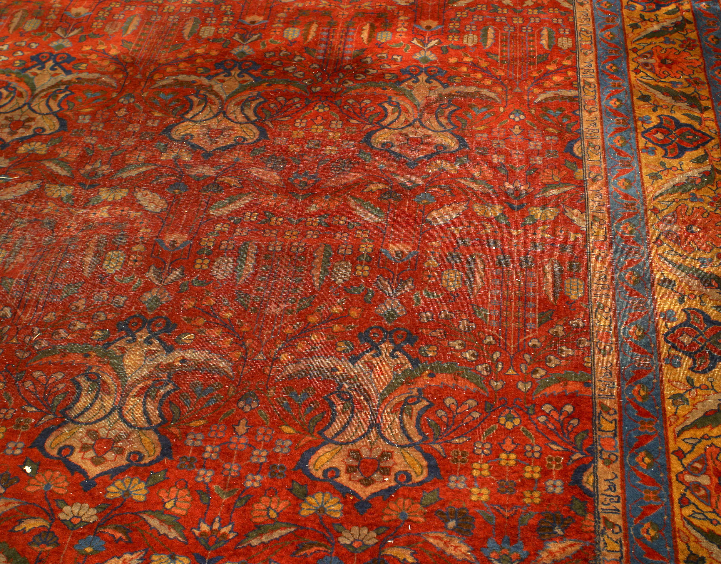 indian agra red blue