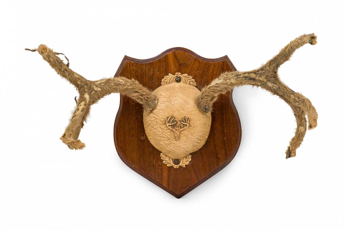 Rustic decorative deer antler wall plaque