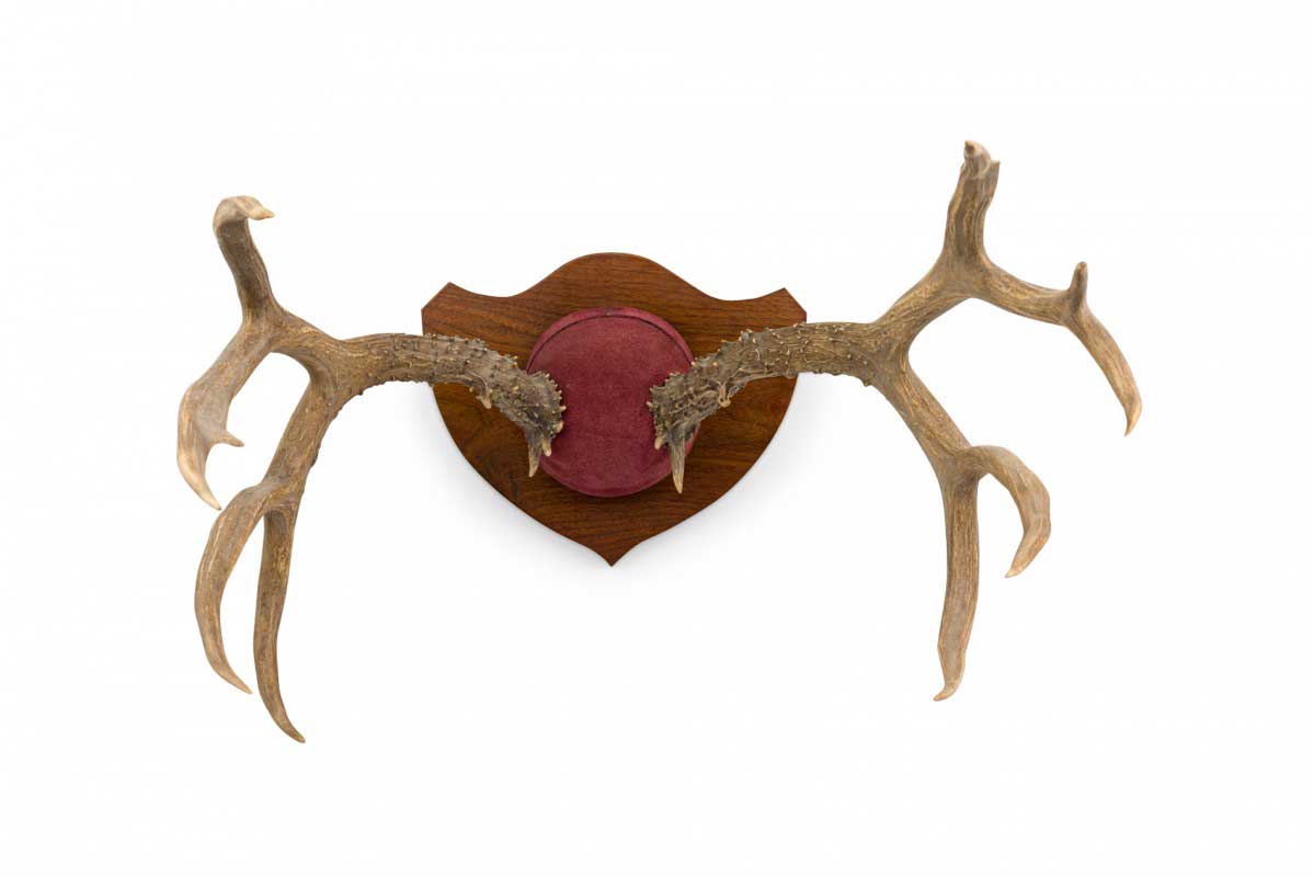 Rustic decorative deer antler and red suede wall plaque