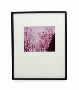 Pink toned color photograph of the moon at dusk