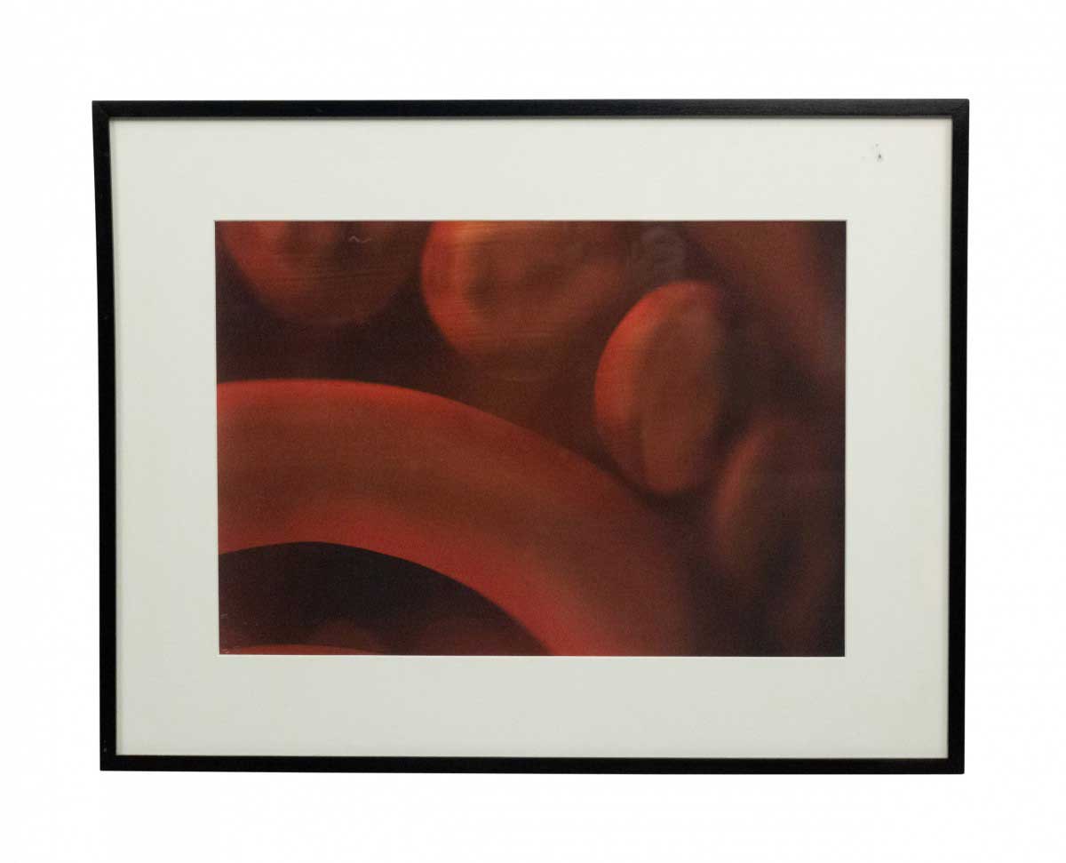 Detail color photograph of red abstract shapes