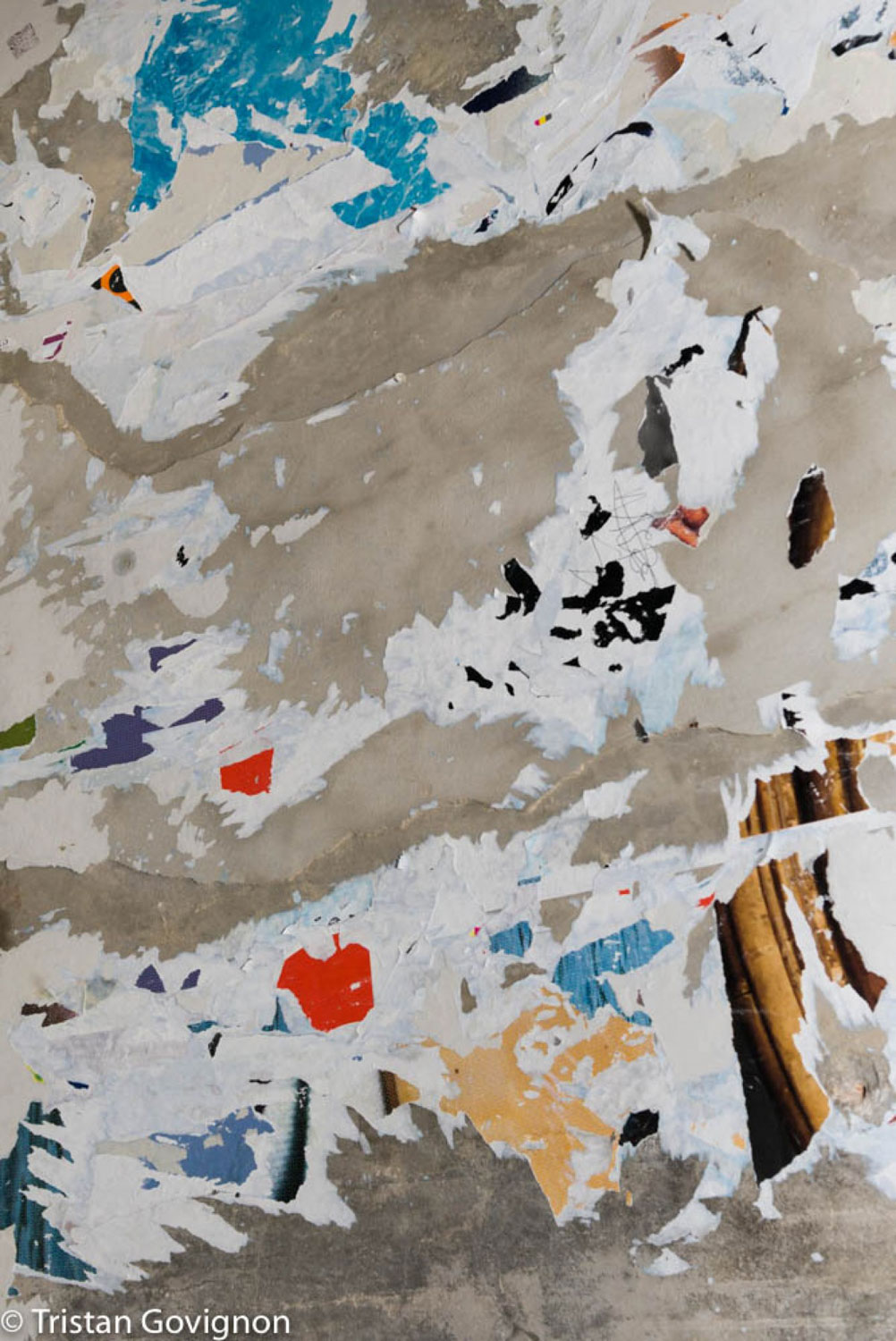 Govignon beach apple archival pigment print