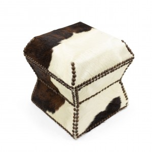American cowhide and brass box