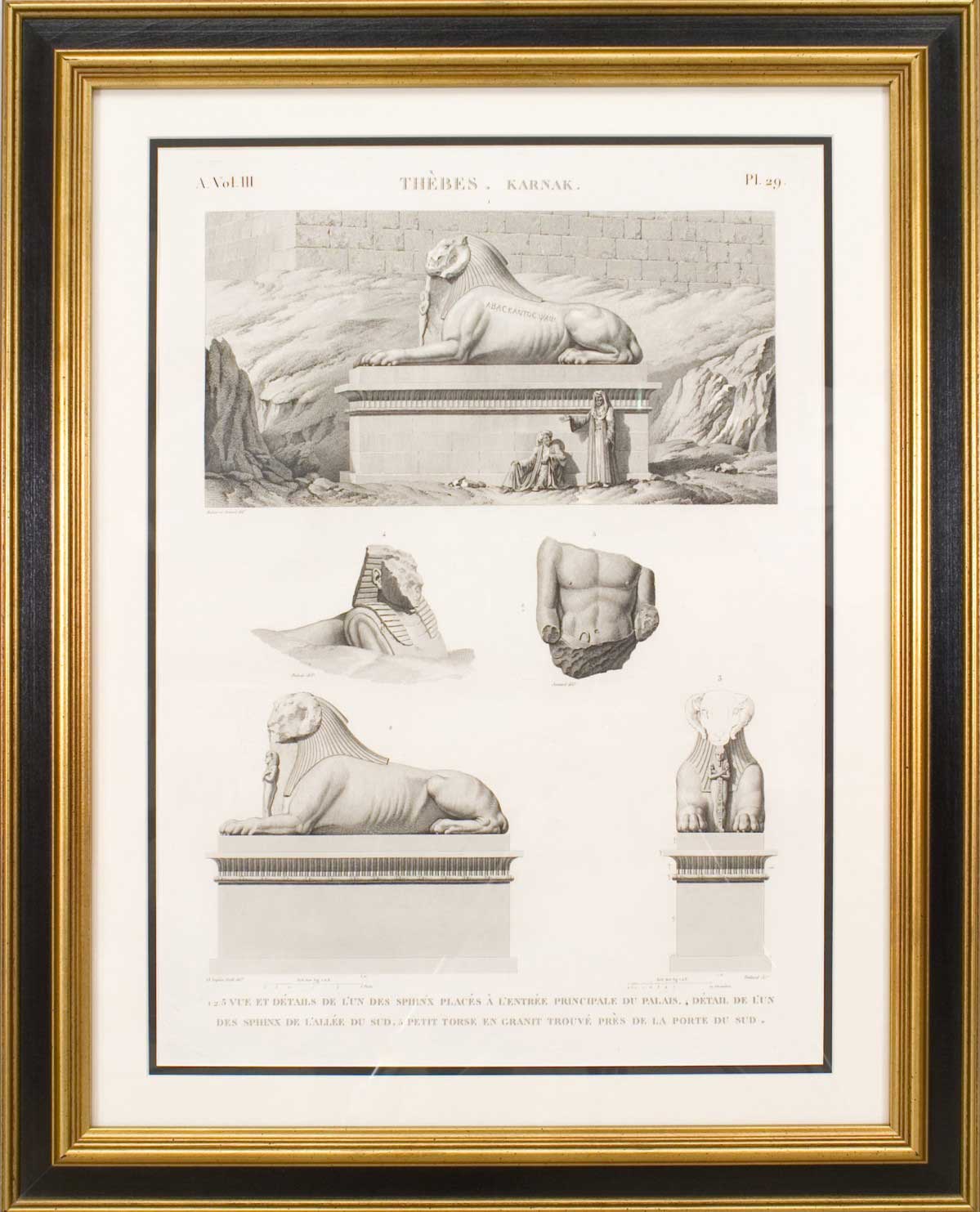 Theves karach egyptian spinx print