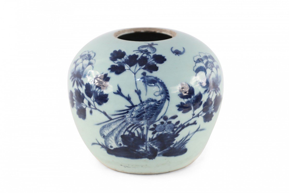 Chinese Celadon and Blue Peacock Porcelain Vase