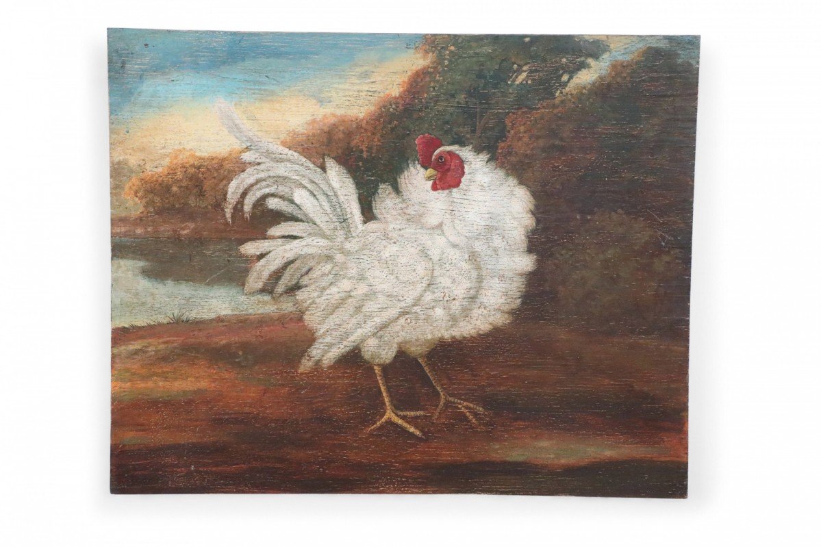 Rooster in Nature Print