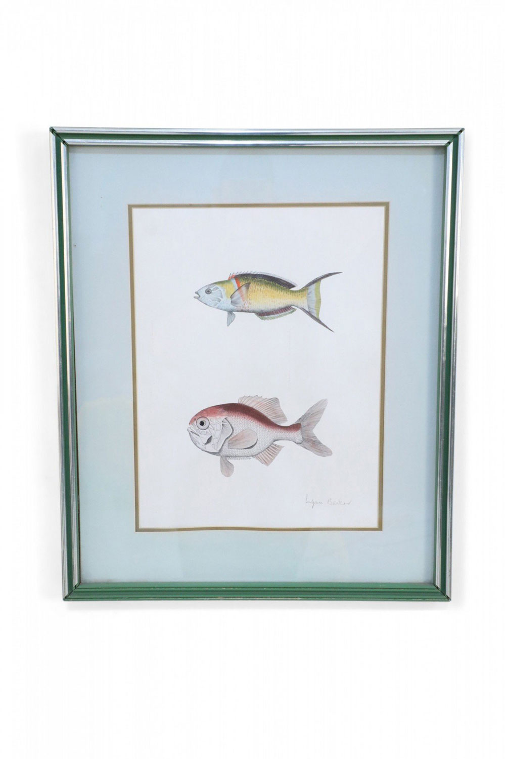 Framed Lithograph of Two Multi Colored Tropical Fish