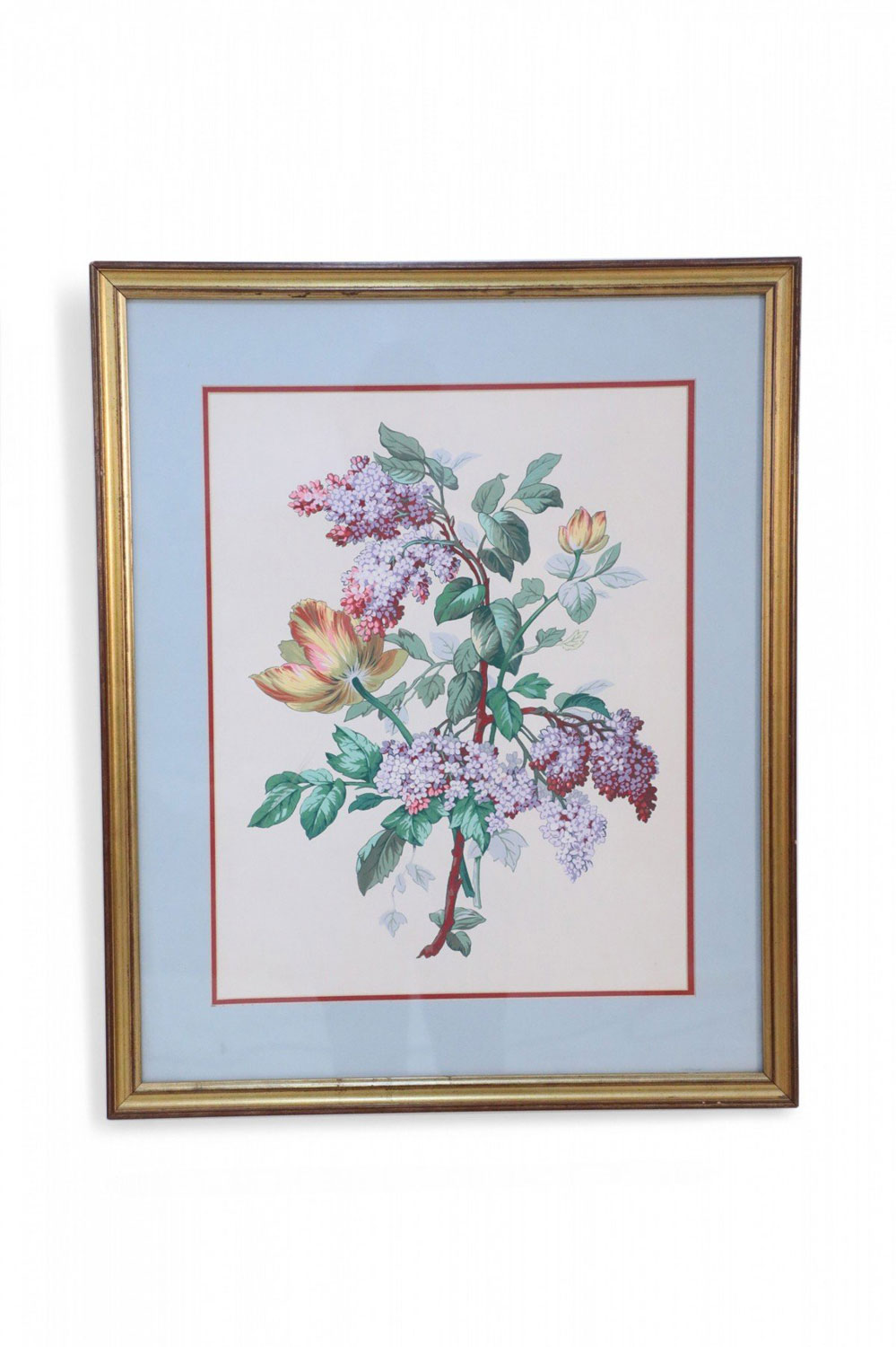 Framed Still Life Illustration of Yellow Flowers Purple Wisteria Vines