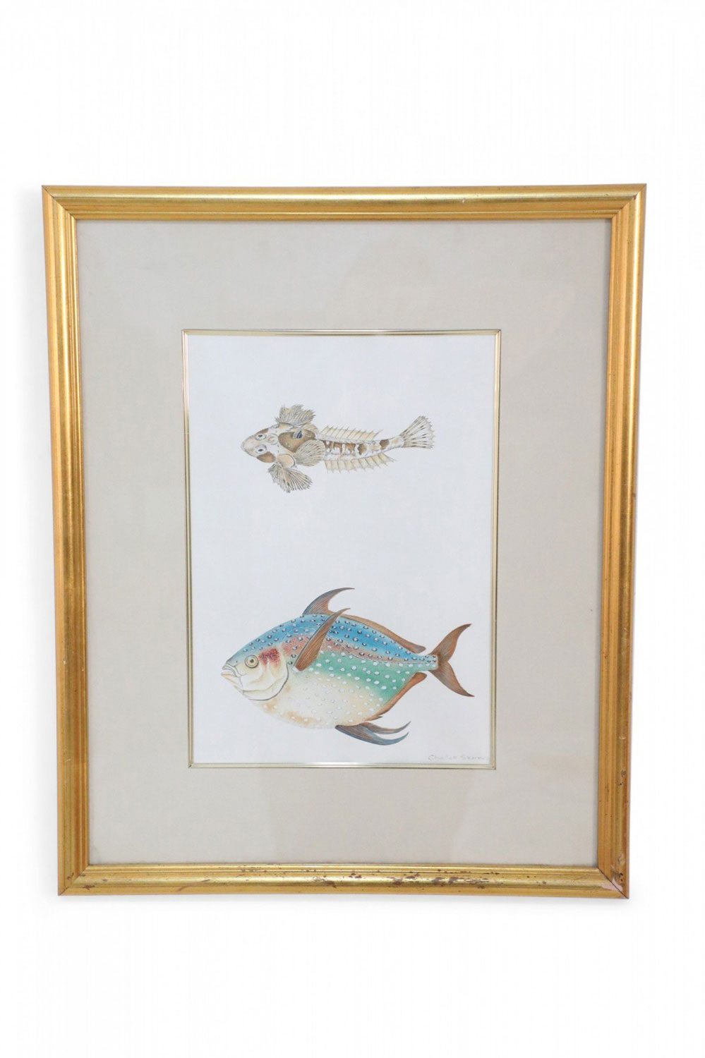Framed Color Lithograph of Brown and Multi Colored Tropical Fish