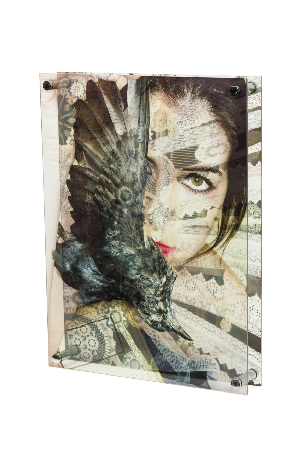 Eva petric contemporary abstract mixed media artwork titled birdy 2017 