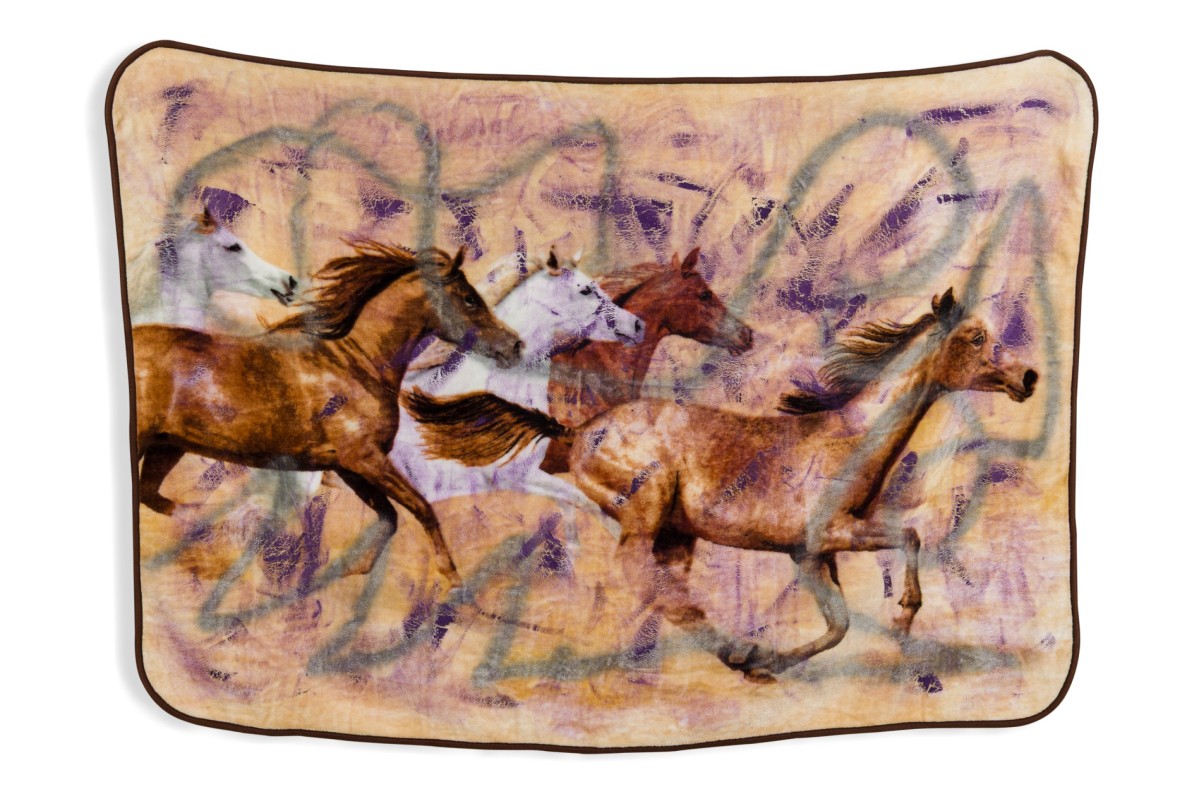 American contemporary abstract horse blanket painting 31