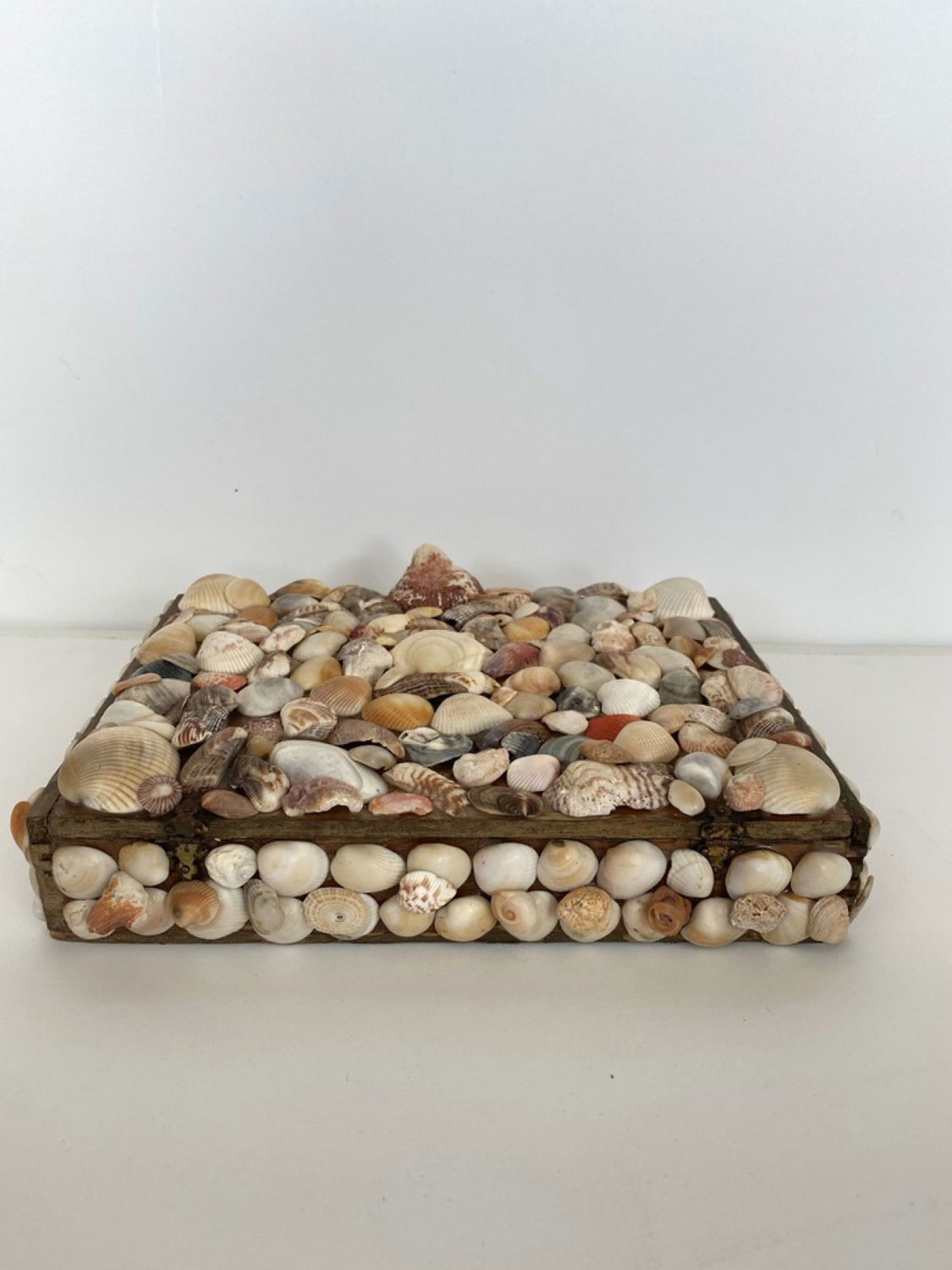 Contemporary american modern shell box large size