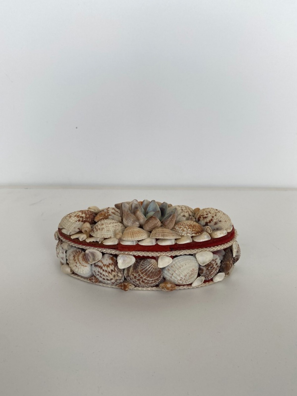 Contemporary american modern shell box oval