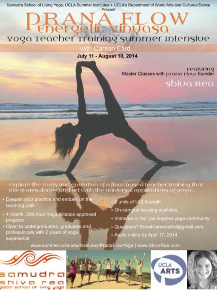 Incredible Vinyasa Yoga Teacher
