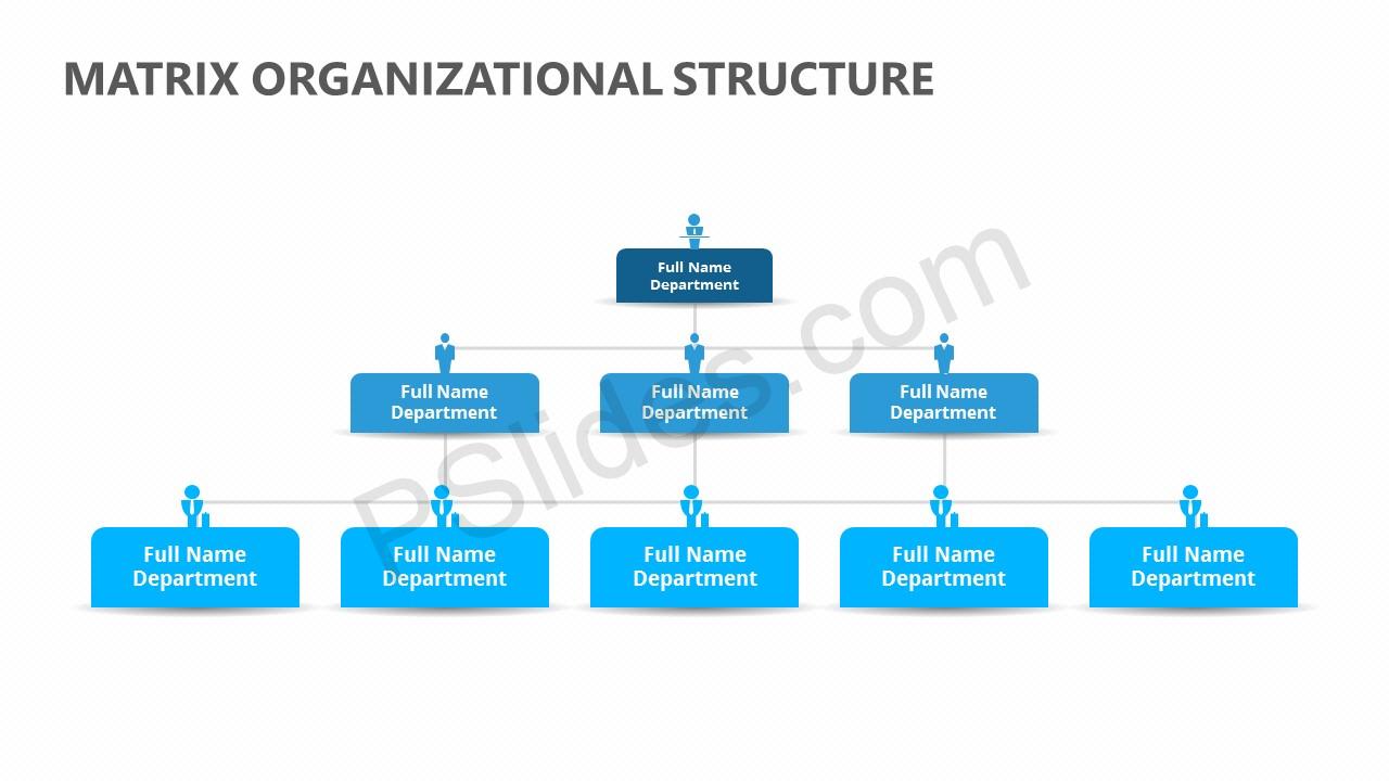 matrix organizational structure