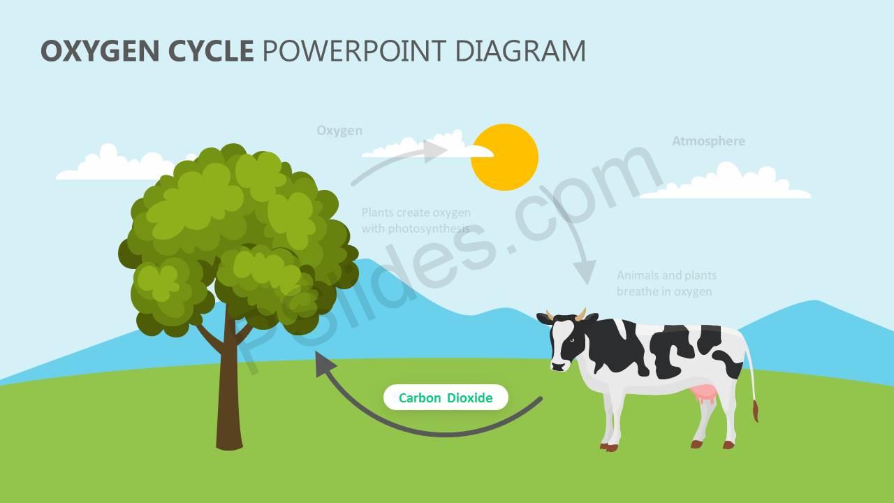 Oxygen Cycle Powerpoint Diagram