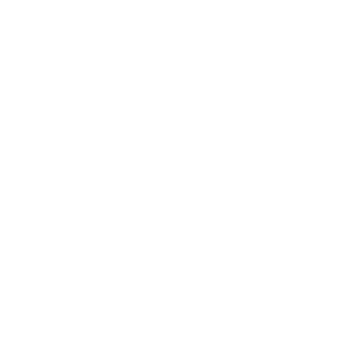 Custom Emoji