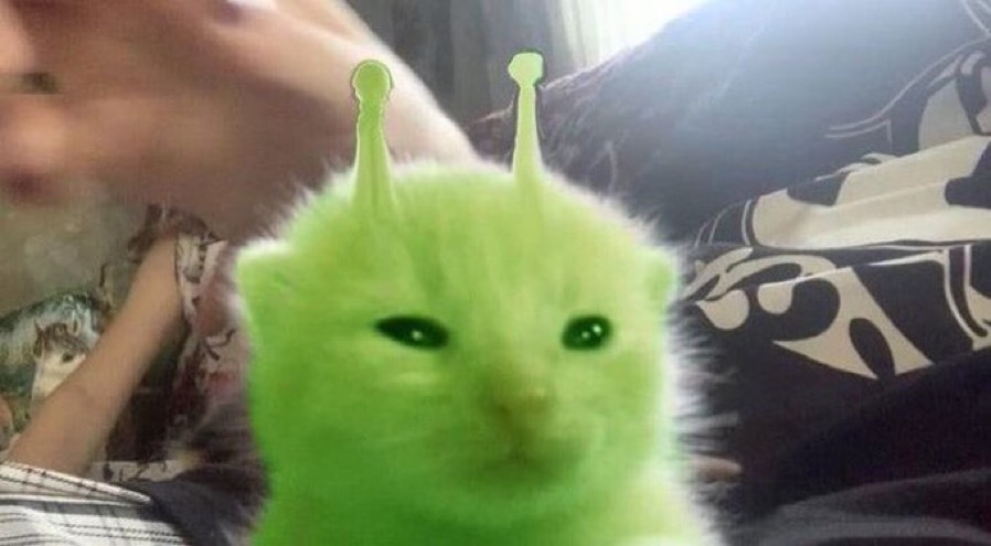 이지영
