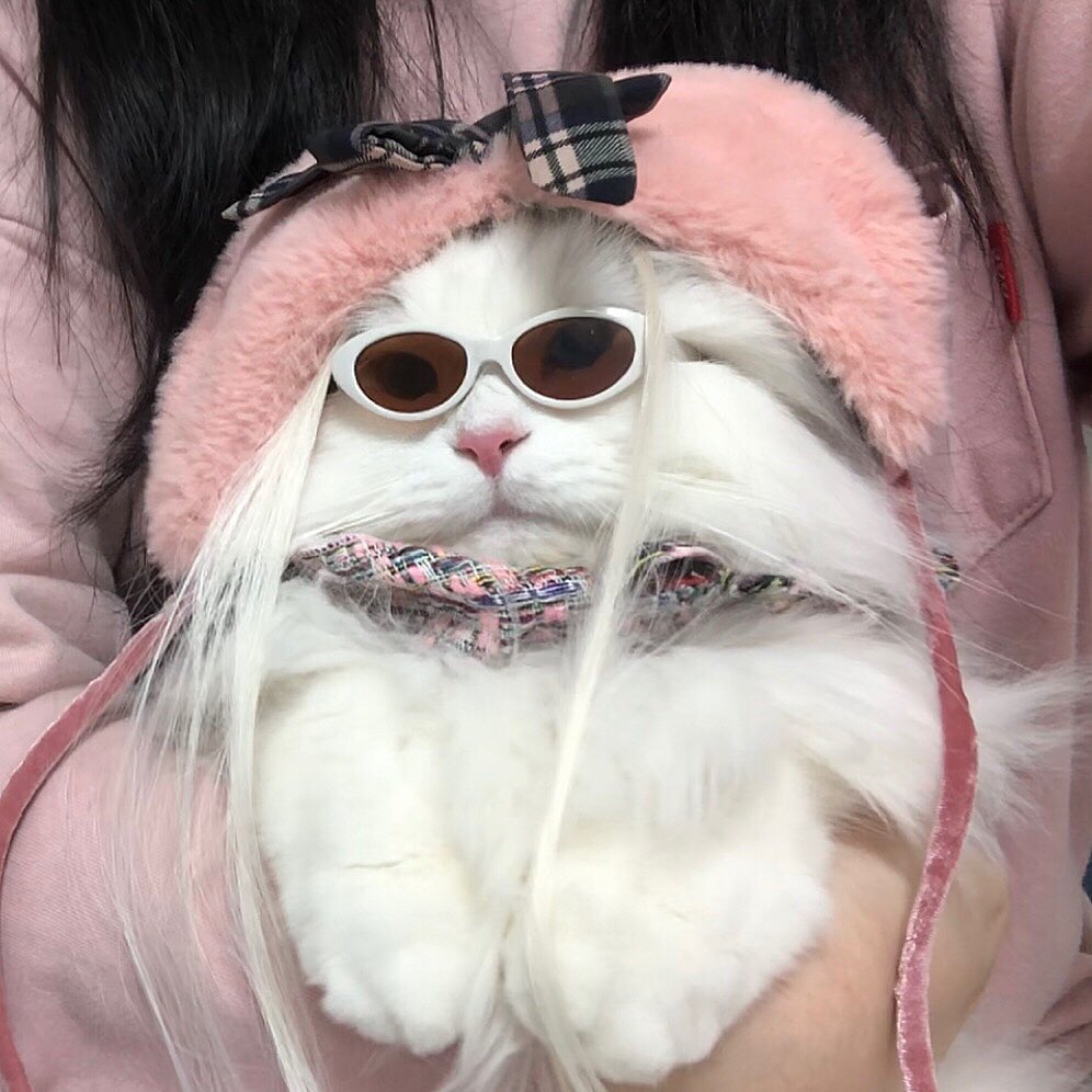 안정음